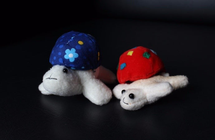 Soft Toys